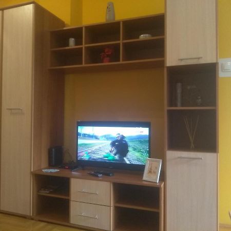 נובי סאד Apartman Marina Sa Garazom מראה חיצוני תמונה