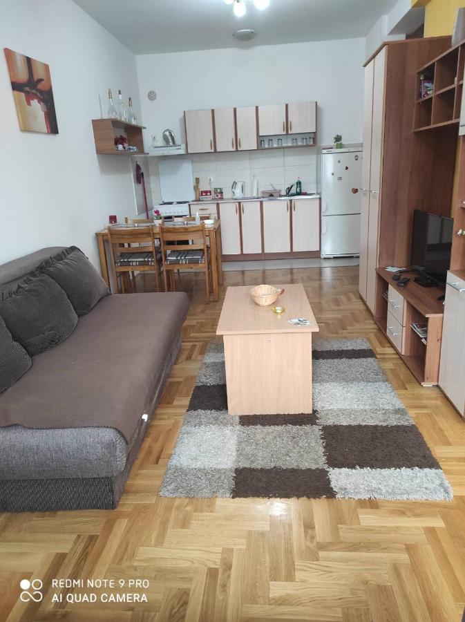 נובי סאד Apartman Marina Sa Garazom מראה חיצוני תמונה