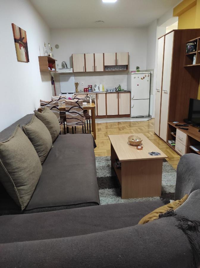 נובי סאד Apartman Marina Sa Garazom מראה חיצוני תמונה