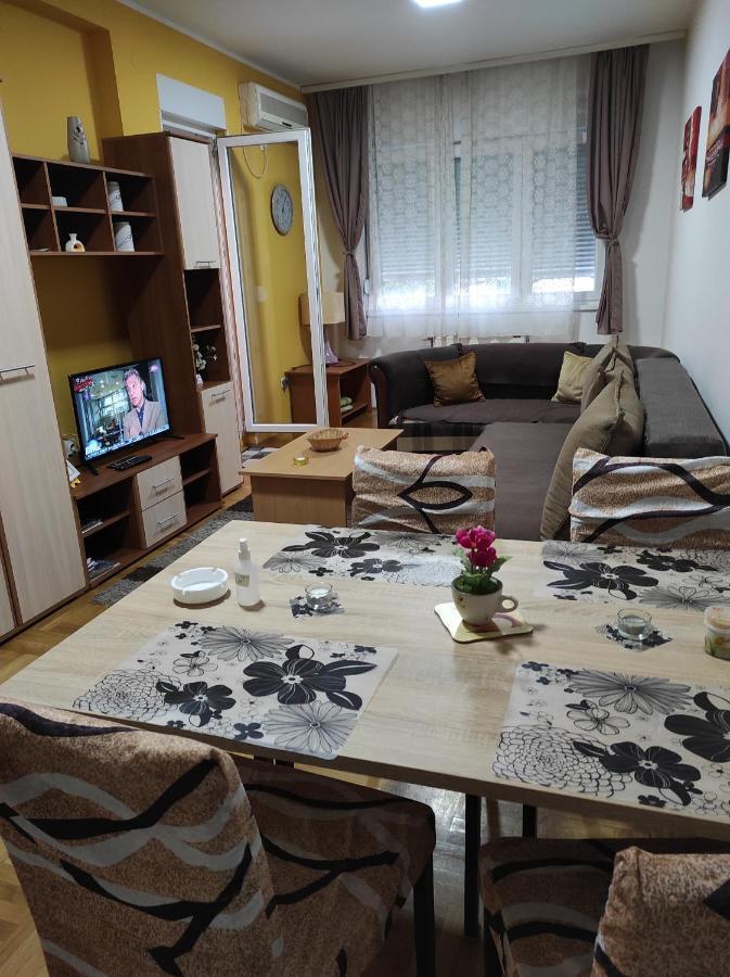 נובי סאד Apartman Marina Sa Garazom מראה חיצוני תמונה