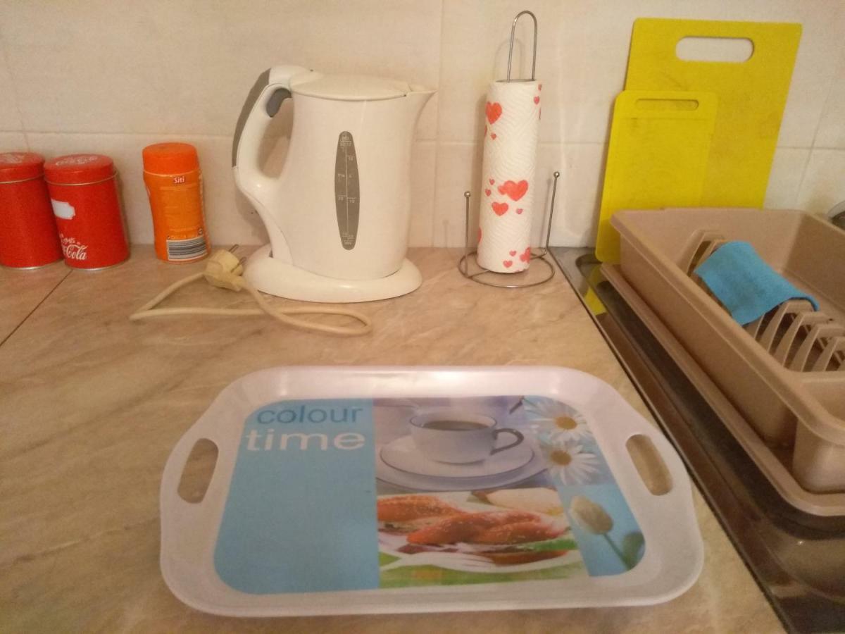 נובי סאד Apartman Marina Sa Garazom מראה חיצוני תמונה