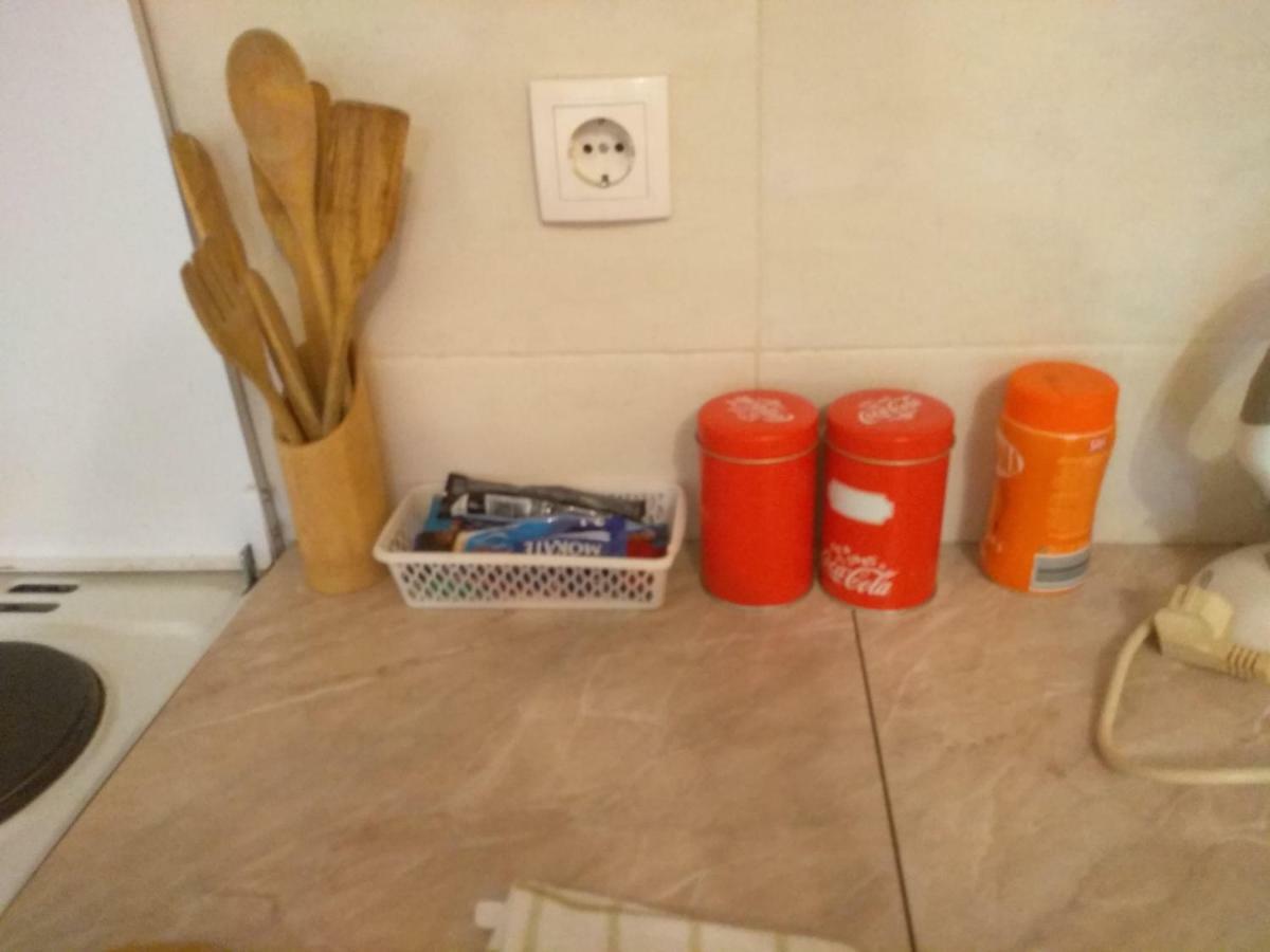 נובי סאד Apartman Marina Sa Garazom מראה חיצוני תמונה
