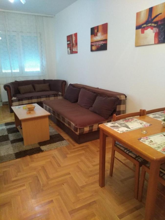נובי סאד Apartman Marina Sa Garazom מראה חיצוני תמונה