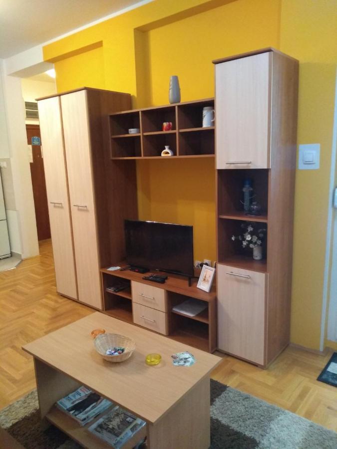 נובי סאד Apartman Marina Sa Garazom מראה חיצוני תמונה